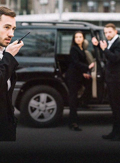 Private Security for Diplomatic Event